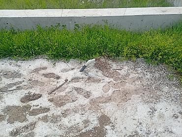 участок село восток: 4 соток, Для строительства, Красная книга — 4