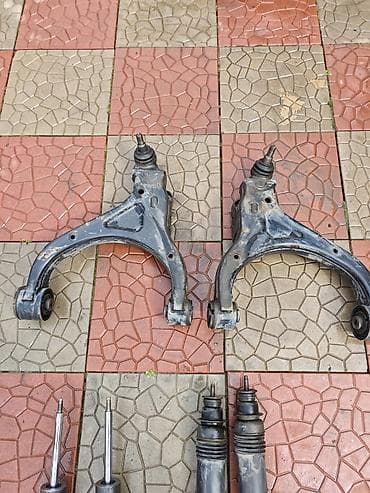 британская короткошерстная цена: Комплект амортизаторов Ssangyong 2019 г., Оригинал — 2