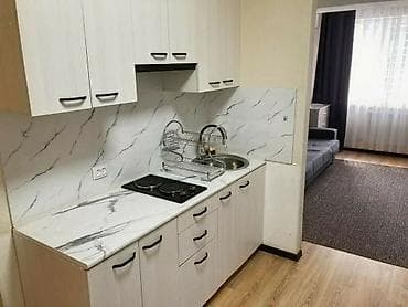 автомо: 1 комната, 27 м², Индивидуалка, 8 этаж, Косметический ремонт — 3