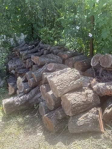 Дрова
