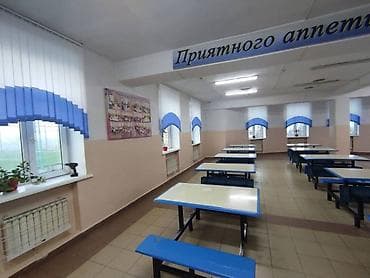 Текстиль: Рулонные и вертикальные жалюзи под размер окна - Виды: рулонные — 9