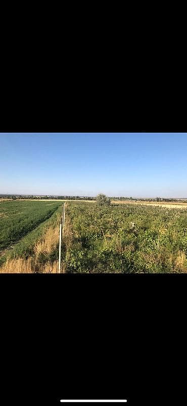 участка сатылат: 100 соток, Айыл чарба үчүн, Кызыл китеп — 1