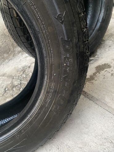 ош донголок: Шиналар 225 / 65 / R 17, Кыш, Комплект, Жеңил унаалар, Кытай, Dunlop — 7