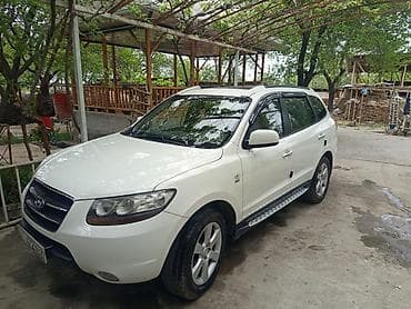 Hyundai Santa Fe: 2009 г., 0.2 л, Автомат, Бензин, Кроссовер