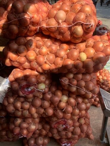 оптовая цена картофеля: Картошка Джелли, Дүңүнөн — 3