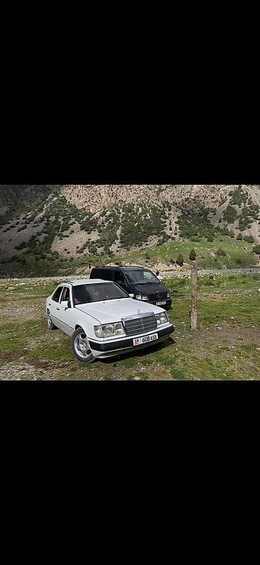 водный мото: Mercedes-Benz W124: 1991 г., 2.5 л, Дизель, Седан — 4