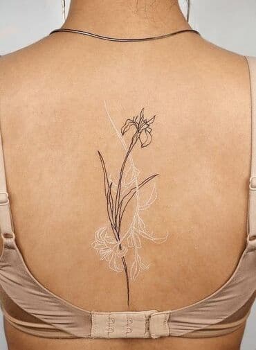 наращивание ресниц выезд на дом: Цветные татуировки, Черно-белые татуировки, Коррекция татуировок | Консультация, С выездом на дом — 6