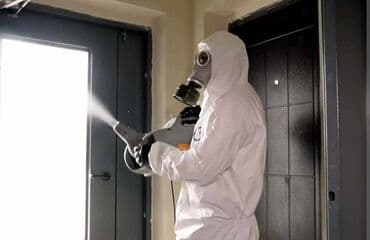 уничтожение клоп блох: Дезинфекция, дезинсекция, | Клопы, Блохи, Тараканы, | Транспорт, Офисы, Квартиры at lalafo.kg — 6 уничтожение клоп блох: Дезинфекция, дезинсекция, | Клопы, Блохи, Тараканы, | Транспорт, Офисы, Квартиры — 6