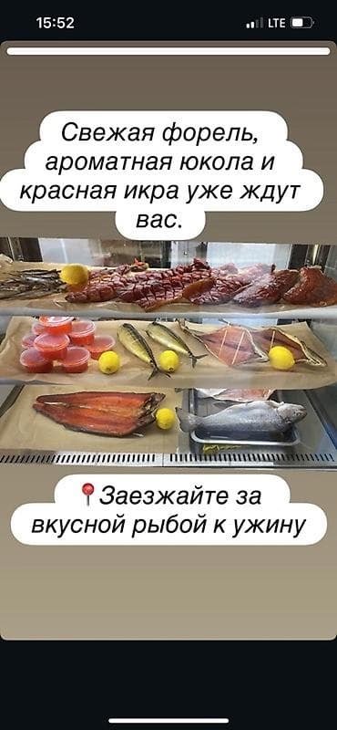 Свежая рыба и деликатесы к вашему столу: - Форель целая и разделанная