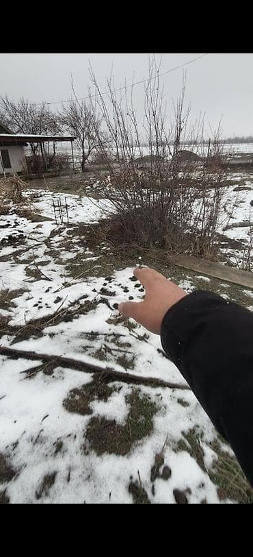 ысык кол отель: 📈📈📈Продается участок 5 соток в селе байгелди в дачном територии рядом — 8