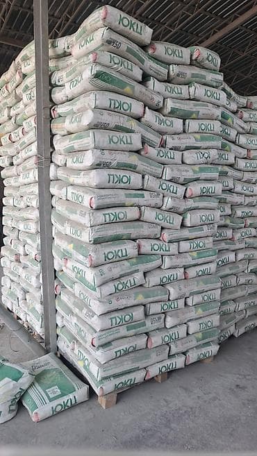 Үй жана бакча: Түштүк Кыргызстан цемент, M-450, 50 кг/м³, Дүңүнөн — 1