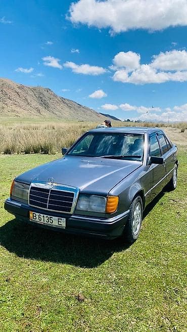 вельтмейстер электромобиль: Mercedes-Benz W124: 1990 г., Седан — 1