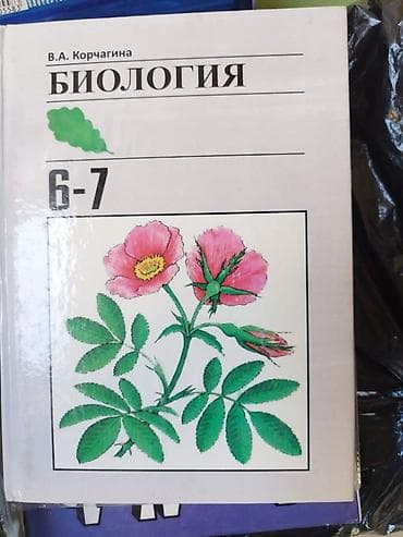 solutions third edition: Другие учебники — 10
