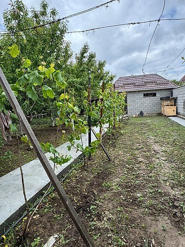 ферма сараи кошара фазенда: Продается дом с большим участком 15 соток в живописном селе Кой-Таш — 8