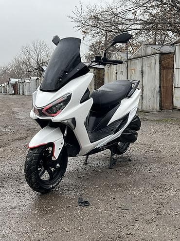 Макси 2025 год✅ Идеал без вложения✅ Экспертиза документы✅ Права не