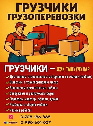 Услуги грузчиков и переездов - Перенос и подъём коробок, мебели