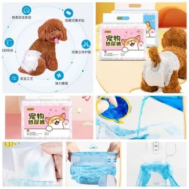 scottish fold: ПРОДАЮ КОШАЧЬЮ МЯТУ(АНТИСТРЕСС),ПОРАДУЙТЕ СВОГО КОТИКА ТАКОЙ — 10