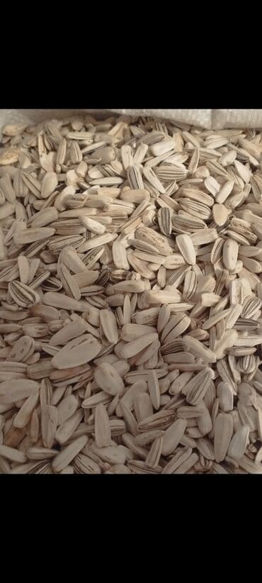 тыквенные семечки цена бишкек: Семечки АК 120 сом звоните — 1