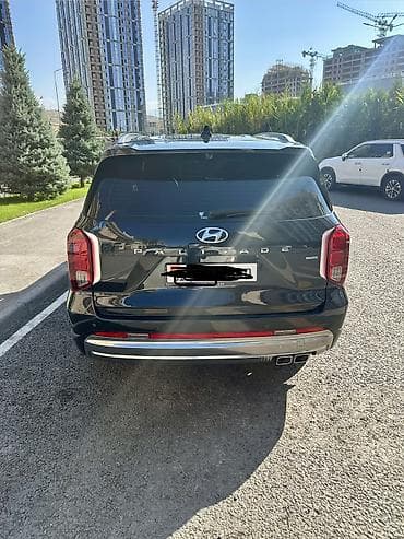 Hyundai Palisade: 2024 г., 2.2 л, Автомат, Дизель, Внедорожник — 8
