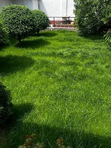 hp designjet: Дизайн, Проектирование | Офисы, Дома — 9