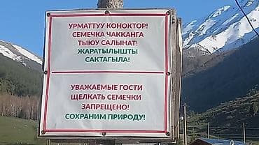 айпады бишкек: Организация мероприятий | Оформление мероприятий — 5