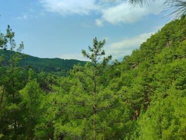 меняю дом на квартиру: Демонтаж.квартир и.т.д — 1