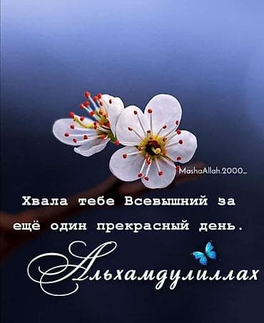 Сдам комнату