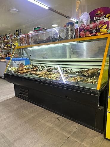 холодильные: Для мяса, мясных изделий, Для напитков, Для молочных продуктов, Турция, Китай, Россия, Б/у — 2