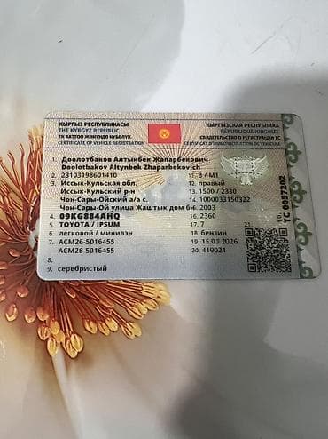 крыло ипсум: Toyota Ipsum: 2003 г., 2.4 л, Автомат, Бензин, Минивэн — 3