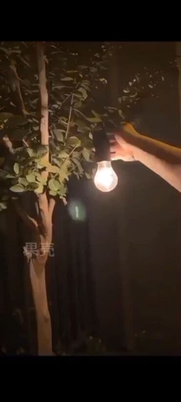 мускатный орех купить бишкек: ​✨ Почему эта лампа станет вашей лучшей покупкой: ​⚡️ Удобная Зарядка — 4