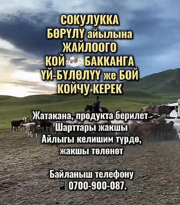 сокулук арал: Талап кылынат Чабан, Төлөм: Келишим түрдө, Тамактануу — 1