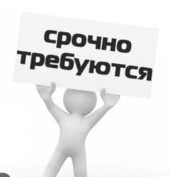 работа программистом без опыта: ОАО,,завод Айнур,, требуется электрик с опытом работы и наладчик — 1