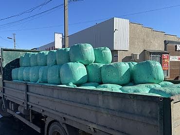 элита арашан: 🌿 ЖАНЫ СИЛОС САТЫЛАТ! 🌿 📍 Дареги: Арашан айылы (Стрельник), борбору — 5