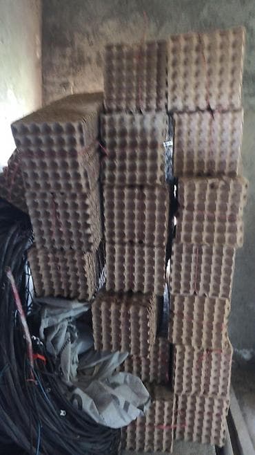 лотки для яйиц: 3- сома шт общее количество 19400 шт Лотки для яиц (пухлаторы) из — 5