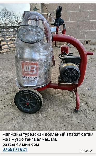 кошки в токмаке: Продам Турецкий доильный аппарат BARBAROS или обмен на жеребенок — 1