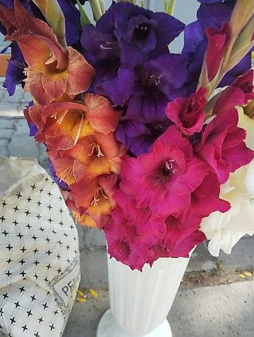 4 pot: Самовывоз — 4