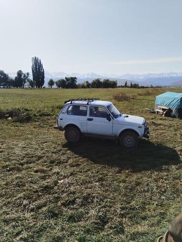 купить мотор на ниву: ВАЗ (ЛАДА) 4x4 Нива: 1998 г., 1.7 л, Механика, Бензин, Внедорожник — 3