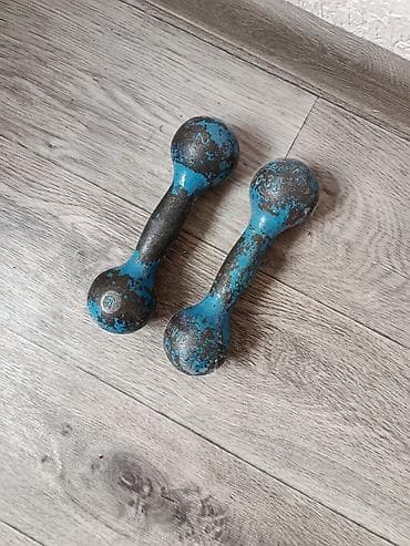 Электротранспорт: Пара разборных гантелей «блины» шарообразной формы. - Материал: литой — 1