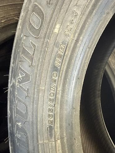 9 r20: Шины 265 / 60 / R 20, Всесезонная, Комплект, Внедорожные (АТ/МТ), Dunlop — 4