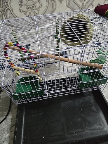 кон: Клетка для мелких птиц с комплектом аксессуаров. - Размеры корпуса — 3