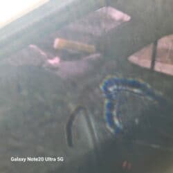 хонда сивик 2017: Honda Accord: 2002 г., 2 л, Автомат, Бензин, Седан — 12