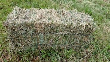 Зоотовары: Птицы — 1