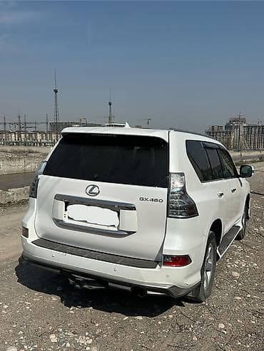 Lexus GX: 2010 г., 4.6 л, Автомат, Бензин