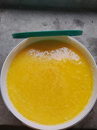 Азык-түлүктөр: Топлёное масло (гхи) в пластиковой банке с крышкой. - — 1