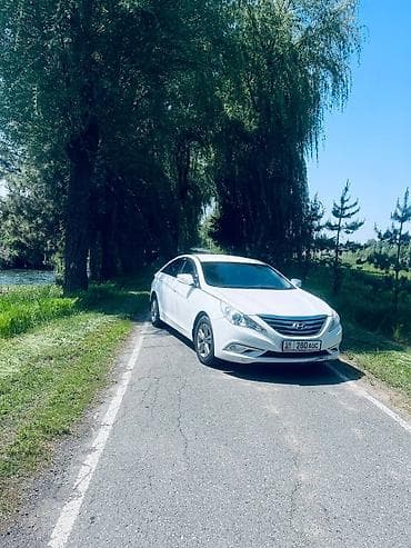 Hyundai Sonata: 2014 г., 2 л, Автомат, Бензин, Седан