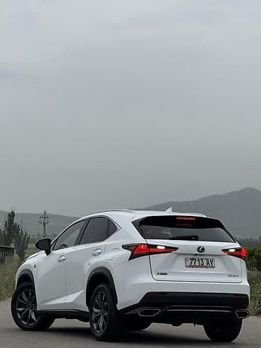 dio af27: Lexus NX: 2019 г., 2 л, Автомат, Бензин, Кроссовер — 6