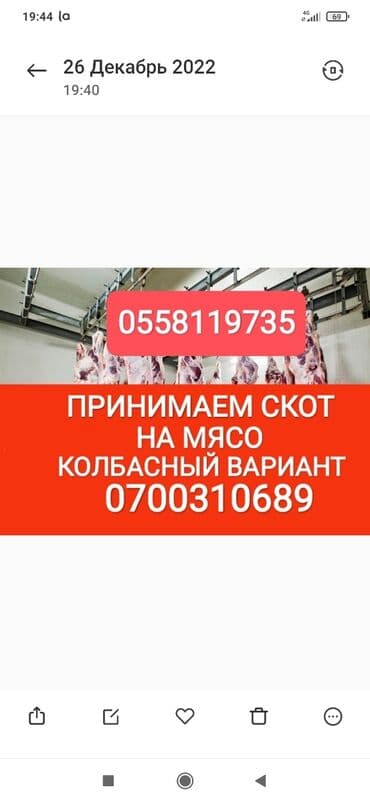 тюк пресс: Куплю | Коровы, быки, Лошади, кони, Другие с/х животные | Круглосуточно, Любое состояние, Забитый — 1