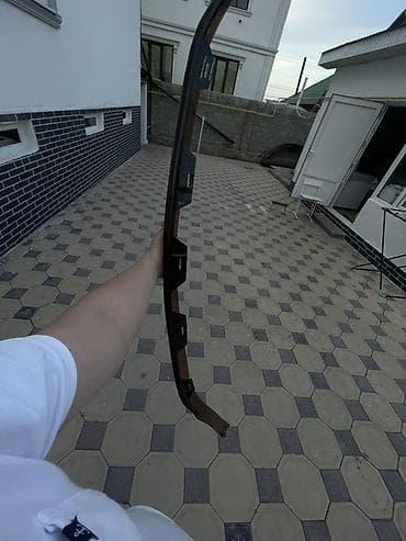 авто сетка: Мухобойка на капот Lexus, 2008 г., Б/у, Платная доставка — 2