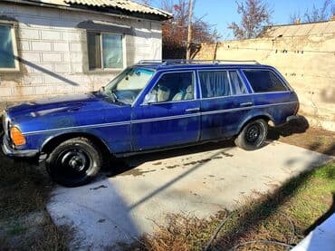 шины для фронтальных погрузчиков: Mercedes-Benz W123: 1980 г., 2.4 л, Механика, Дизель, Универсал — 4