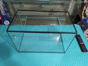 аквариумная рыбка: Аквариум 50 литров. Новый. Также есть другие варианты аквариумо. Всё — 1